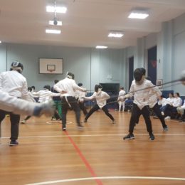 fencing-2