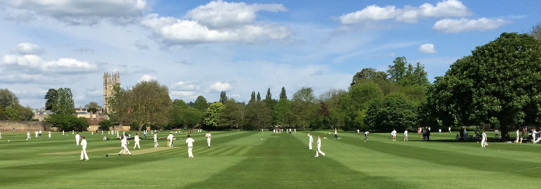 Surrey District Cricket