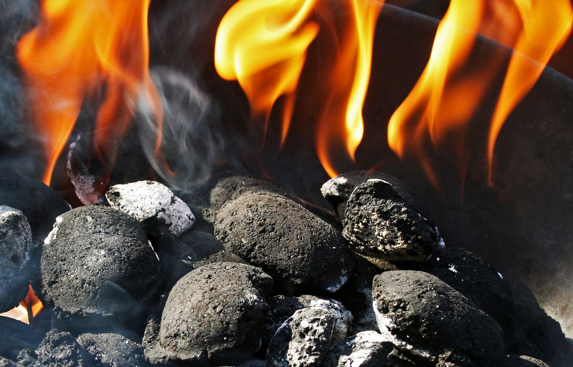 Sustainable Charcoal for Sale Caterham School