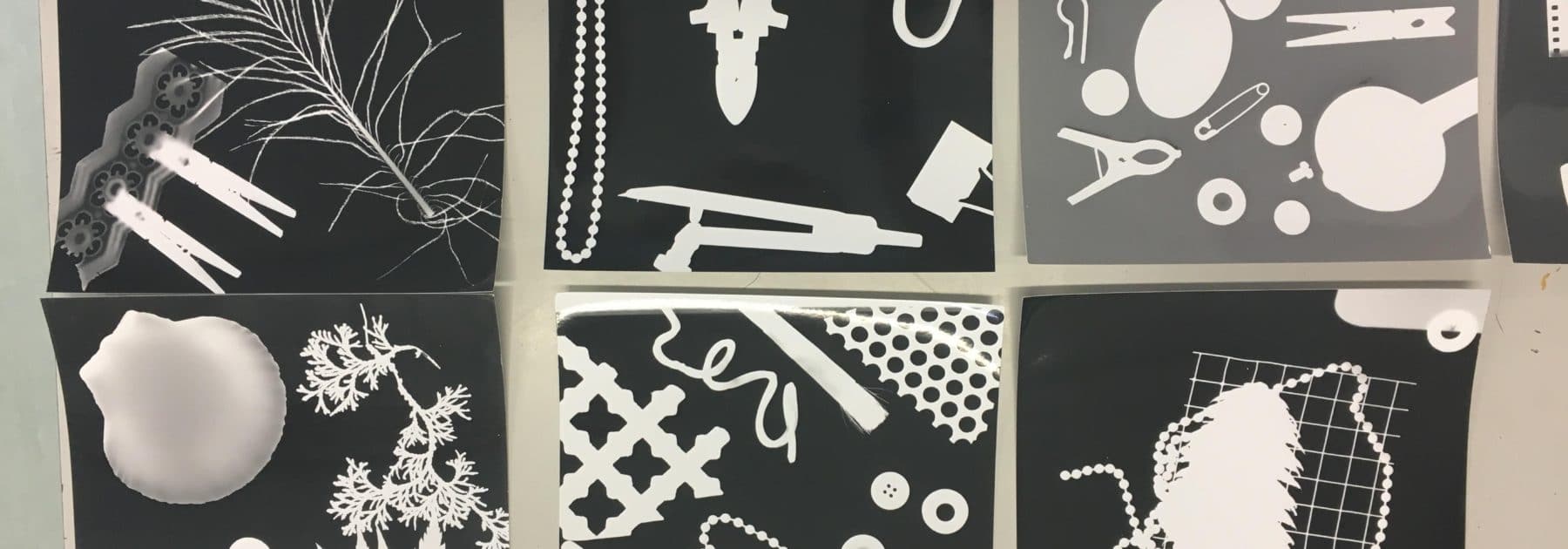 Sunnydown School Photogram Fun