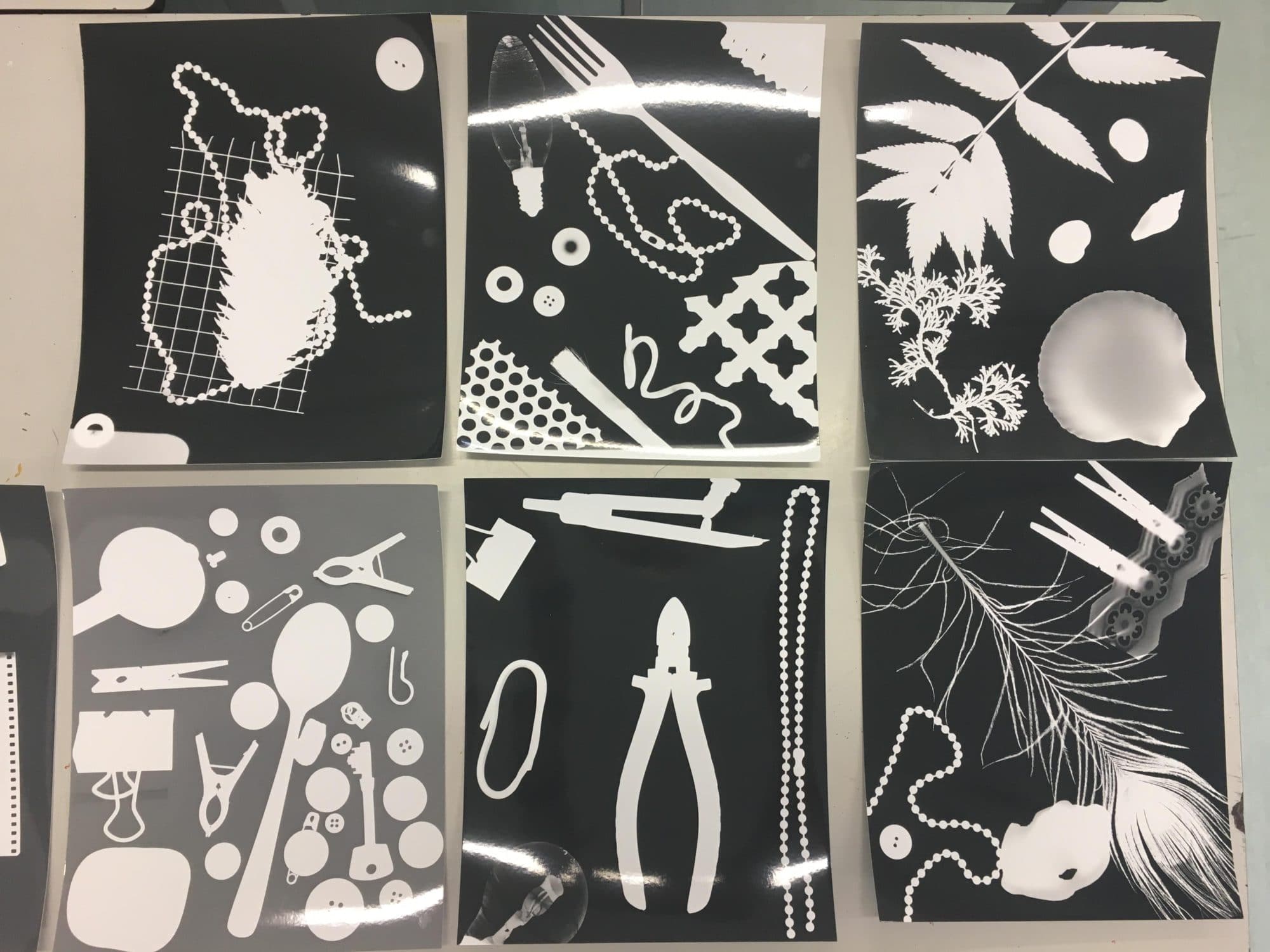 Sunnydown School Photogram Fun Caterham School