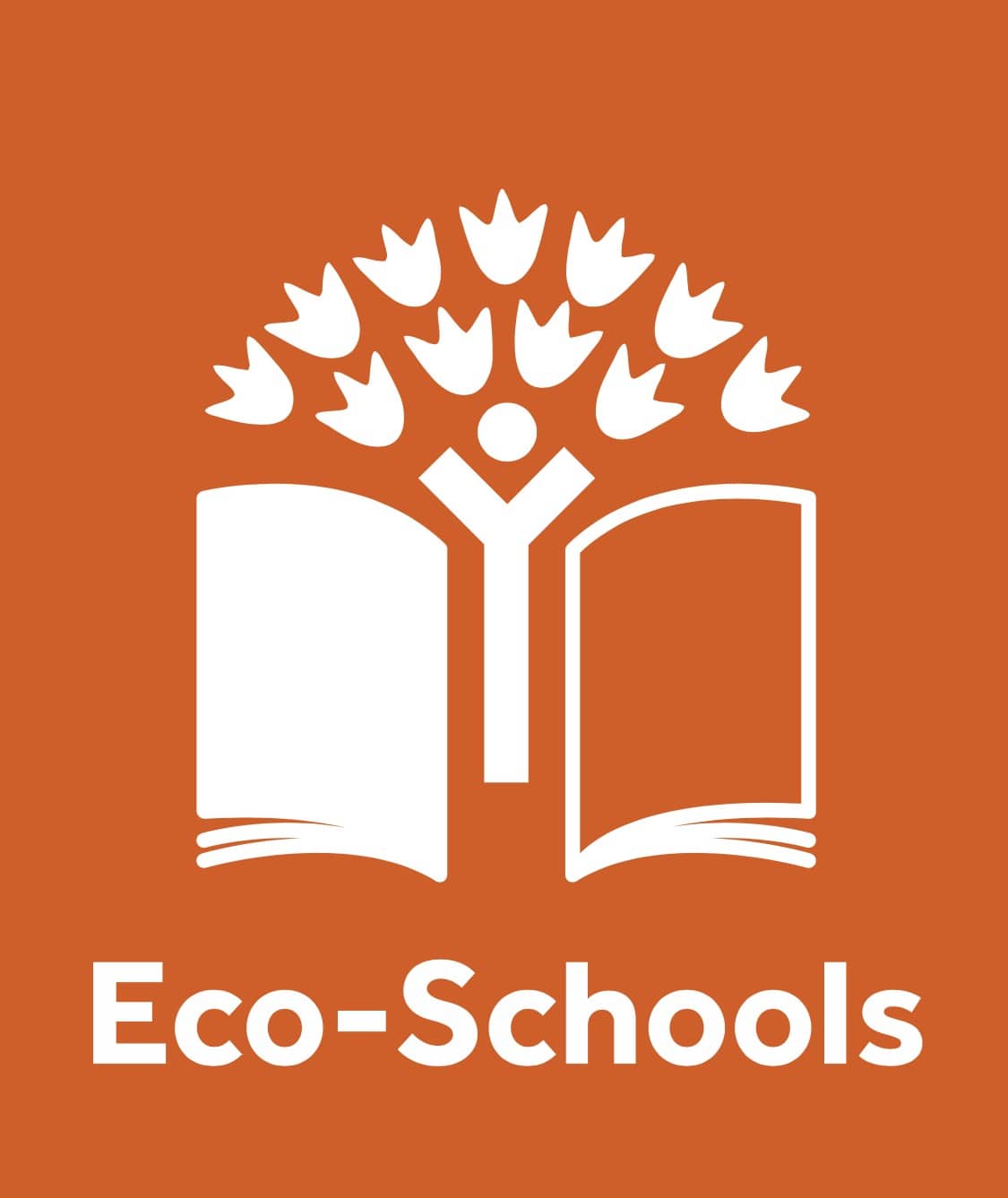 Green Committee works towards EcoSchools Green Flag Award Caterham
