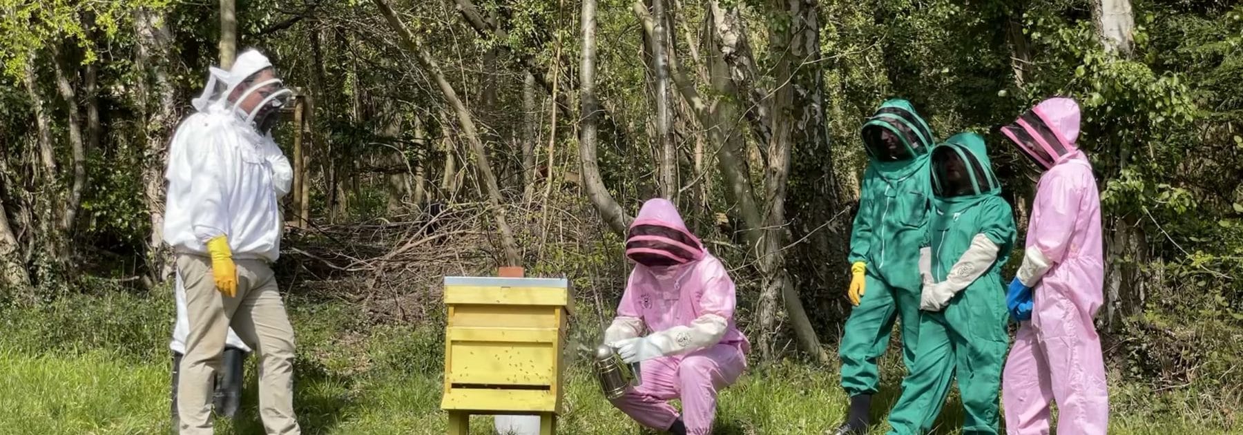 Our Beehives get a Spring Clean!