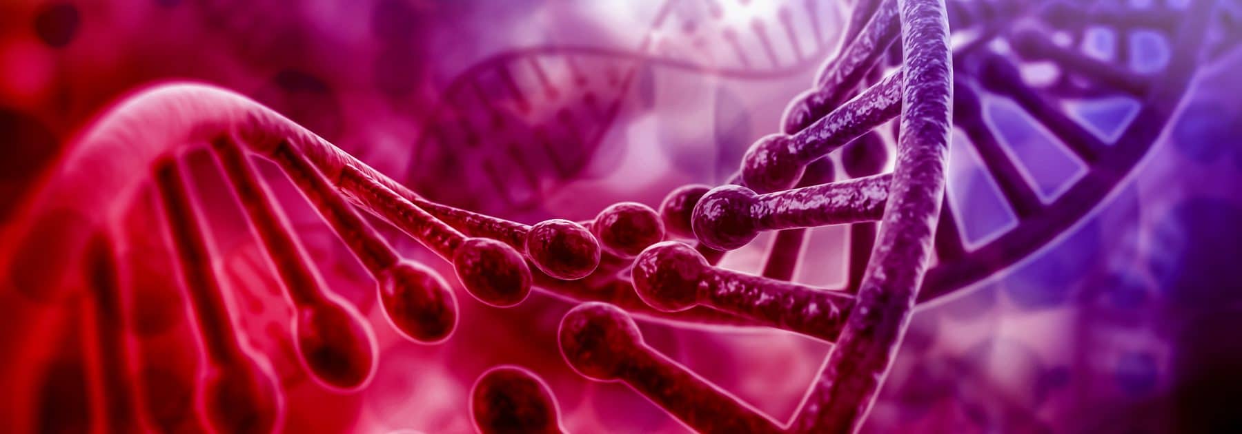 Record Haul of Medals at Biology Olympiad