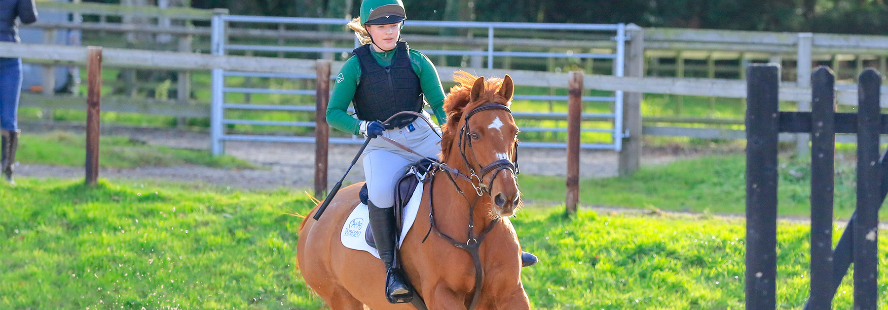 National Schools Equestrian Association Competition