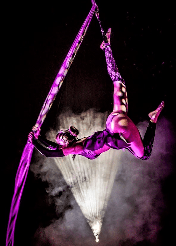 Aerial Silks