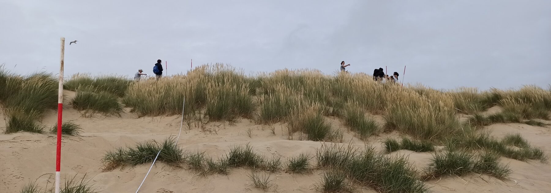 Biologists Conquer Camber