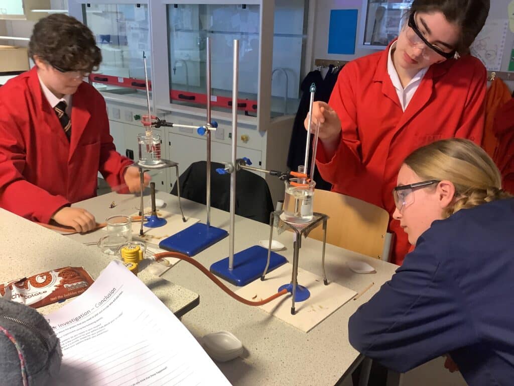 Junior Science Fayre (1)