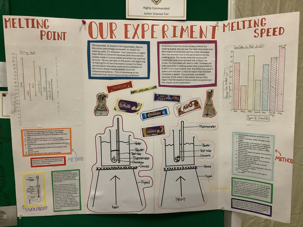 Junior Science Fayre (1)