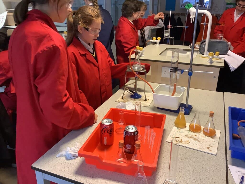 Junior Science Fayre (3)