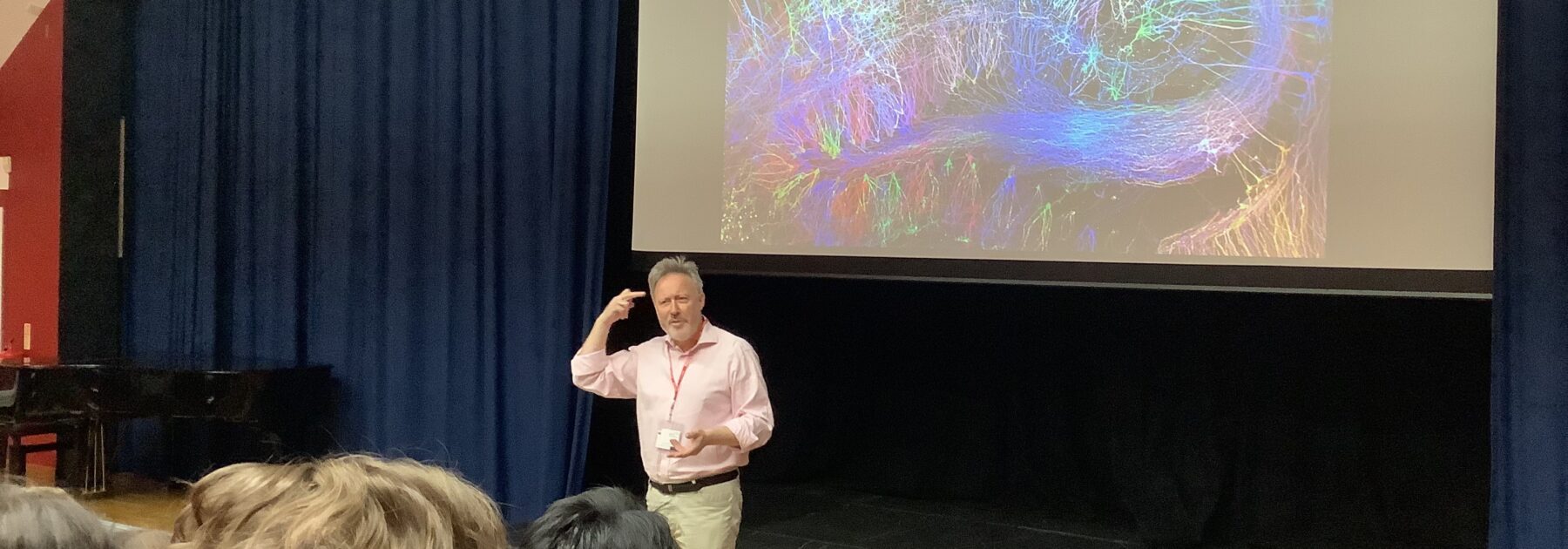 Brain Day 2023