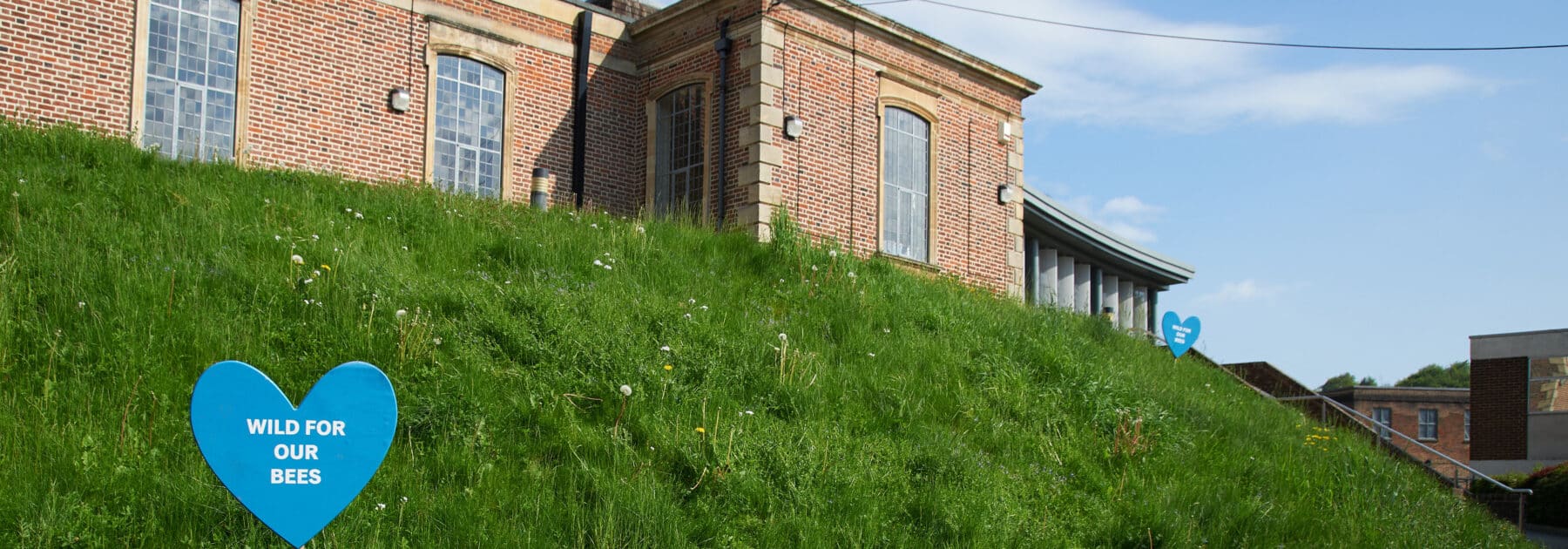 Grow Your Own Veg in Horticultural club