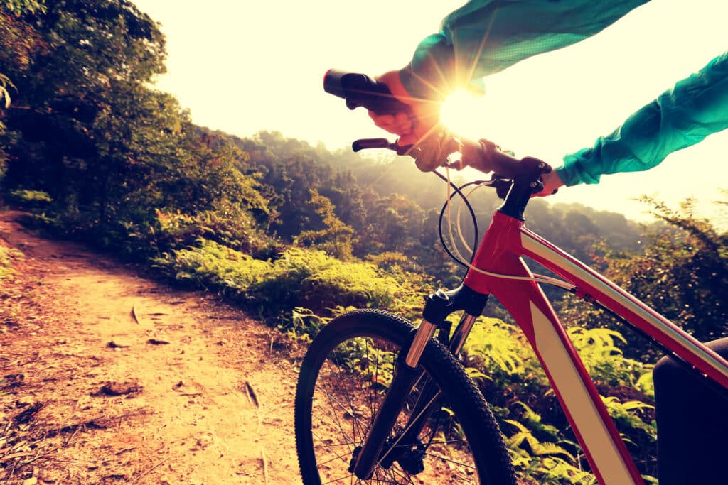 Young,Woman,Cyclist,Riding,Mountain,Bike,On,Forest,Trail