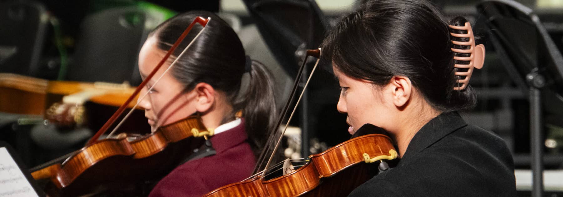 Harmony in Motion at Orchestral Open Day