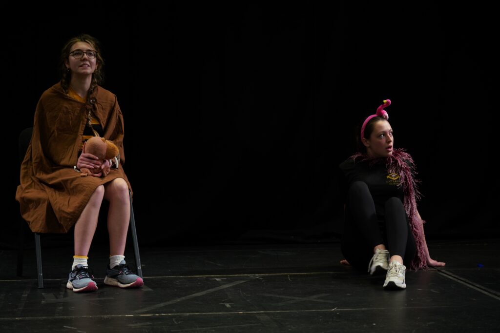 House Drama