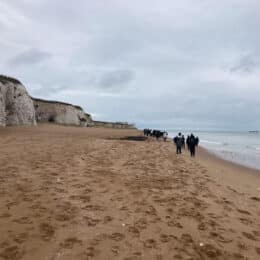 IMG 0003 1