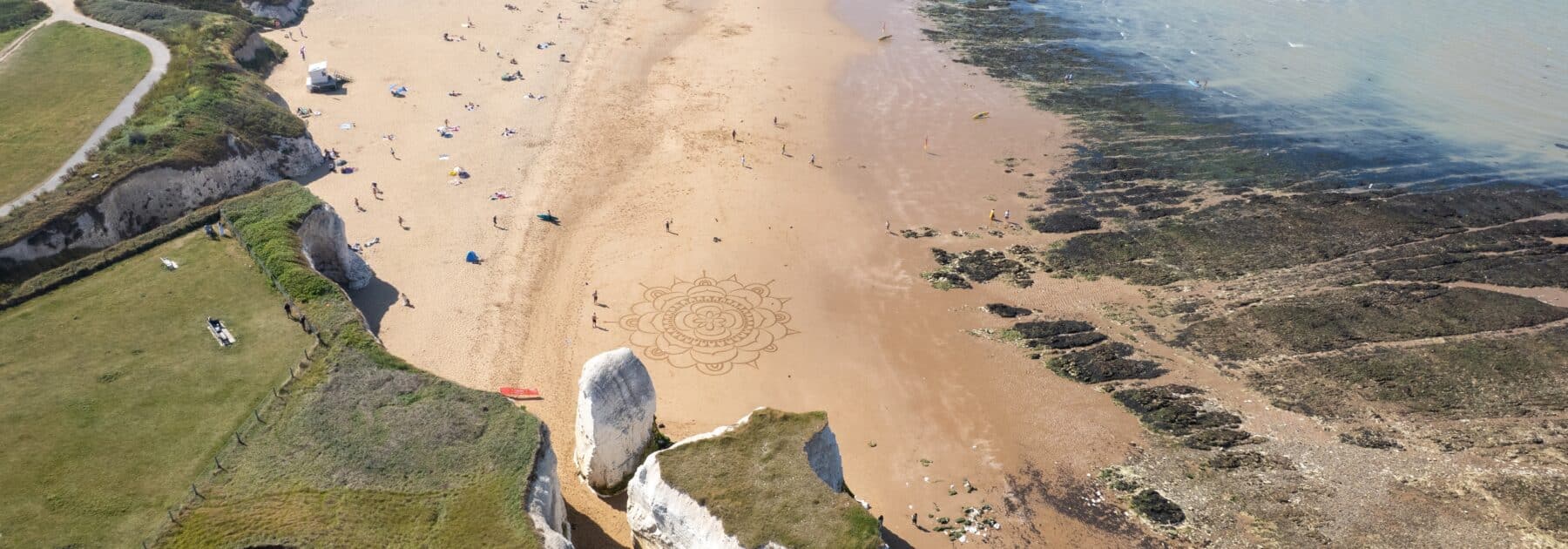 An Ecological Adventure at Botany Bay Beach!