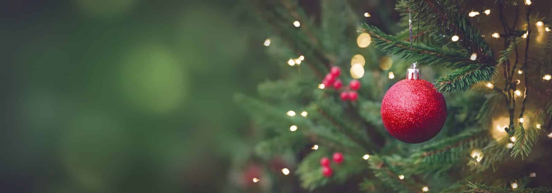 Christmas Magic at Santa’s Grotto