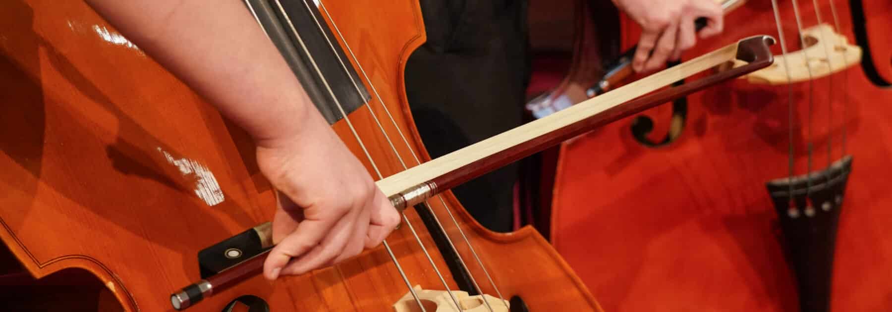 Saving Endangered Instruments