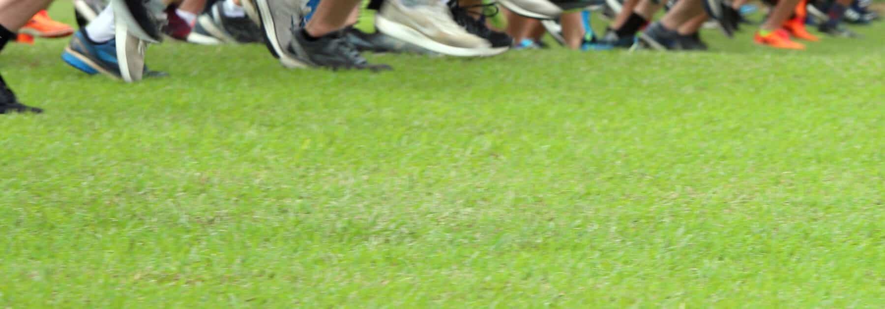 Caterham Stars Selected for Surrey Cross Country