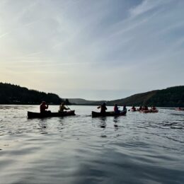 F4a5dae6 5f06 4a7e 8ecf Fa1ae3327888