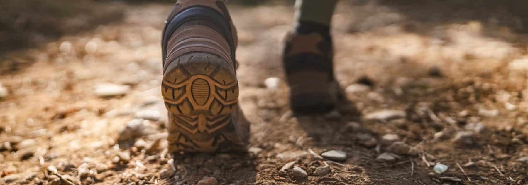 Duke of Edinburgh Awards, Silver Milestone Achieved