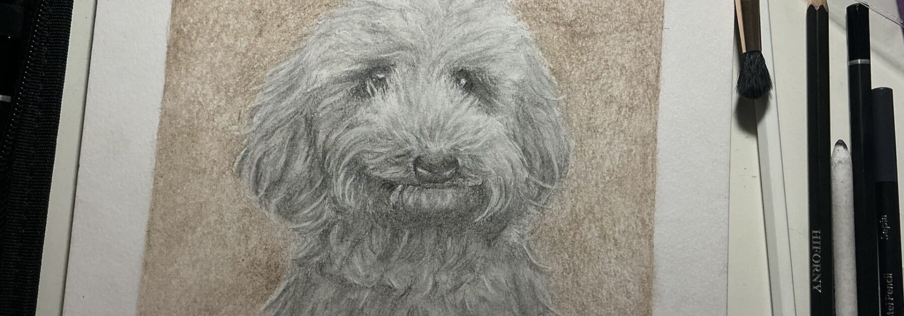 Personalised Pet Portraits